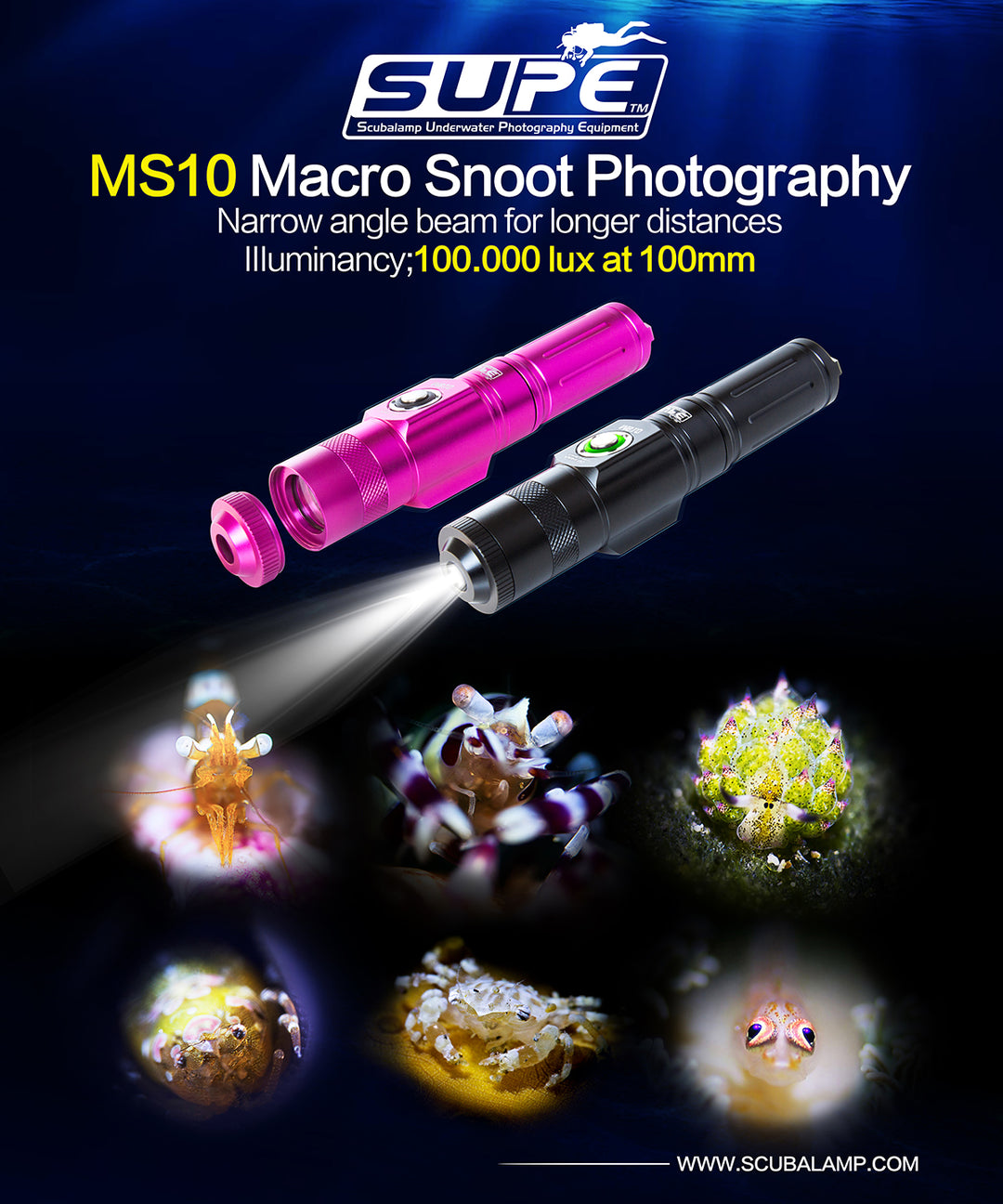 Macro Snoot Light - MS10 (100.000 lux at 100mm)